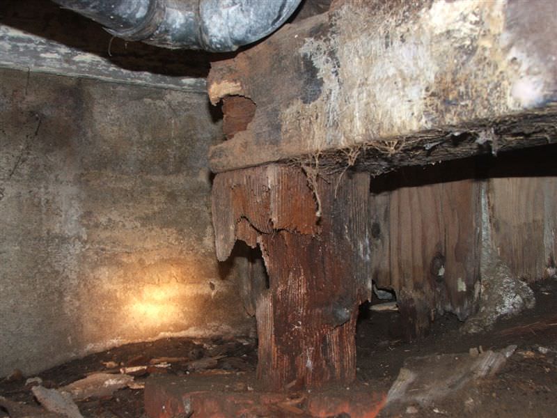 Rotten support post in a forgotten crawl space