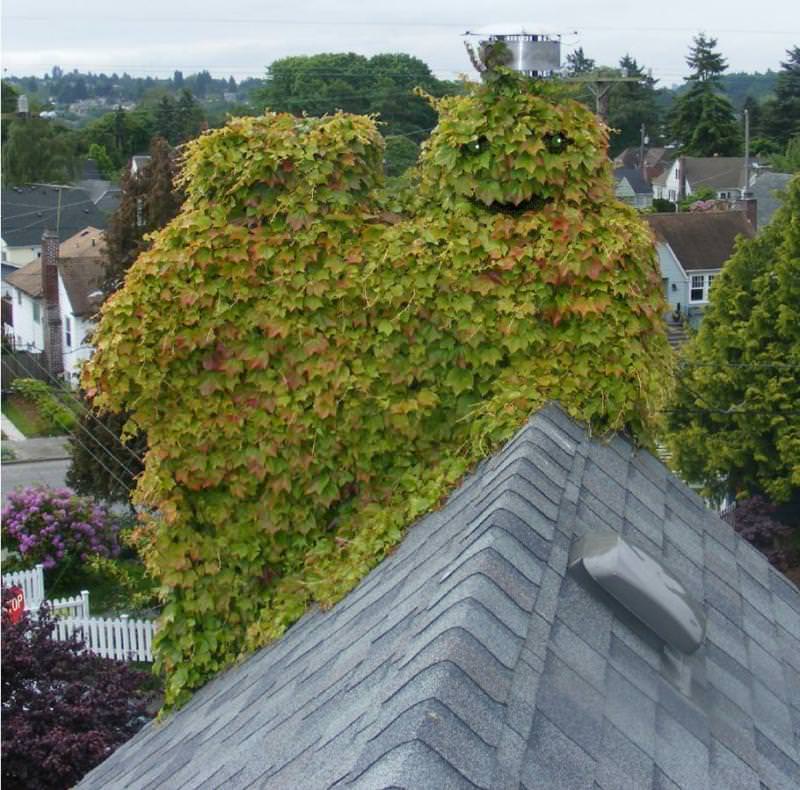 Oscar the Grouch---up on the roof