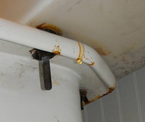 Leaking toilet bolt