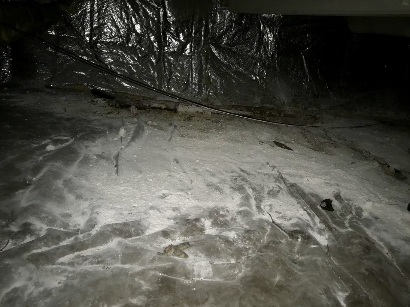 What is that white powder in my crawl space?
