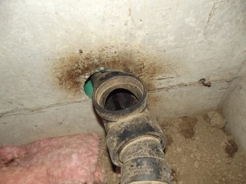 Rodent intrusion into crawl space