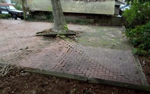 Patio destroyed bu tree roots