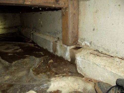 water-in-crawl-space2
